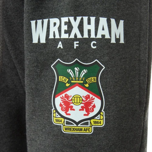 Kids Wrexham Charcoal Tracksuit Bottoms - 2-3yrs Image 3